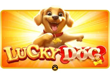okttt casino live dealer table interface for Philippines players